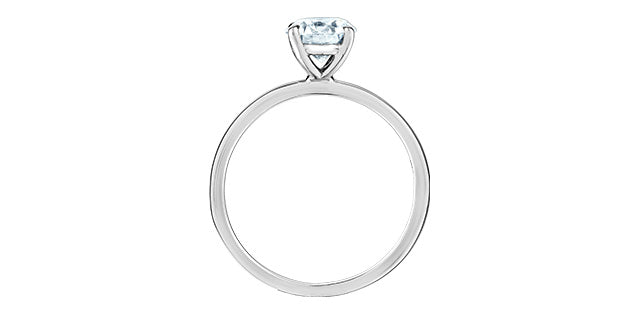 Diamond Evolution 14k white go